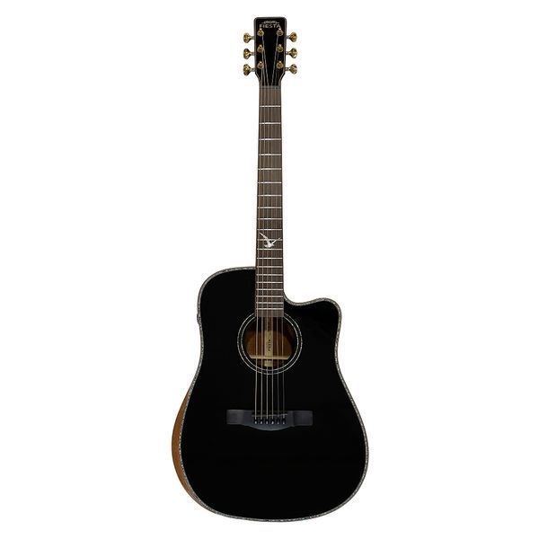 Акустическая гитара FIESTA D2 BK TransAcoustic с чехлом